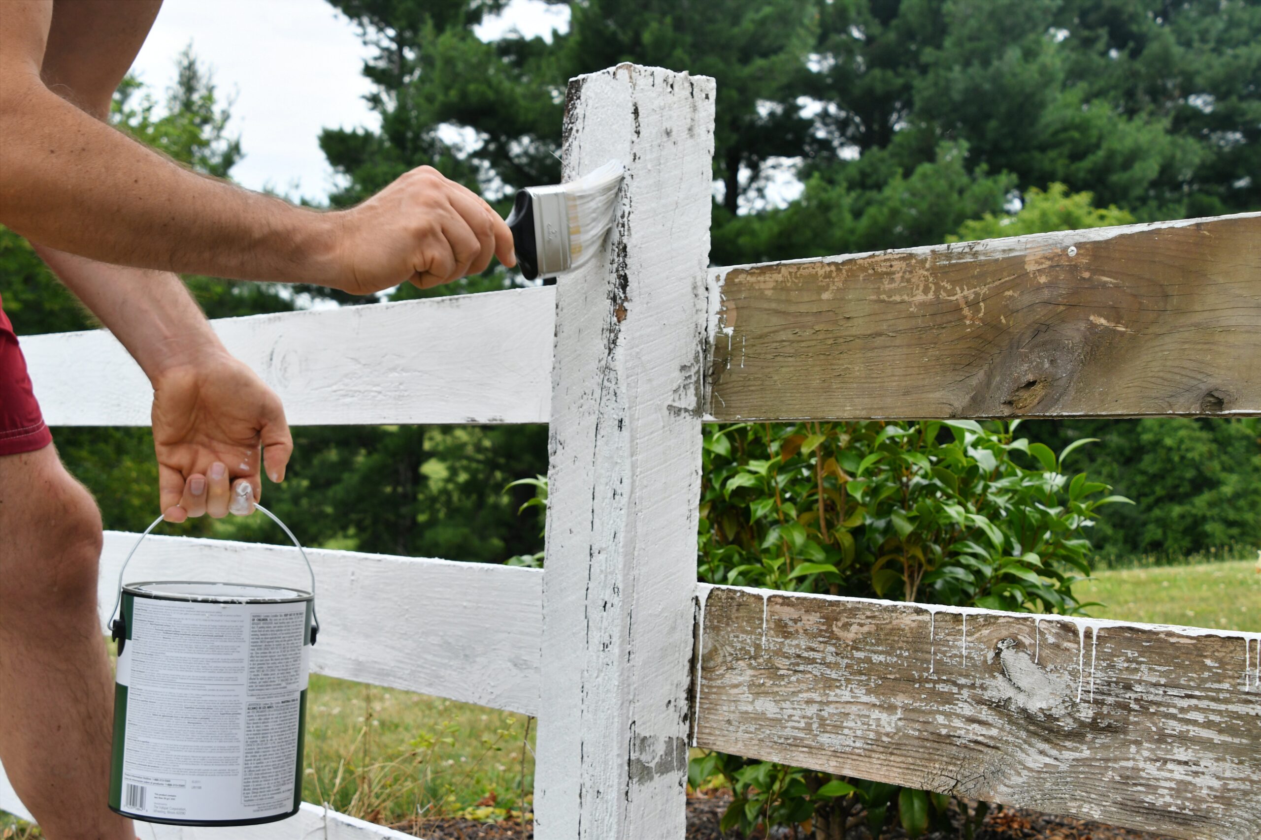 man-painting-a-wooden-fence-with-white-paint-2022-11-14-03-42-30-utc