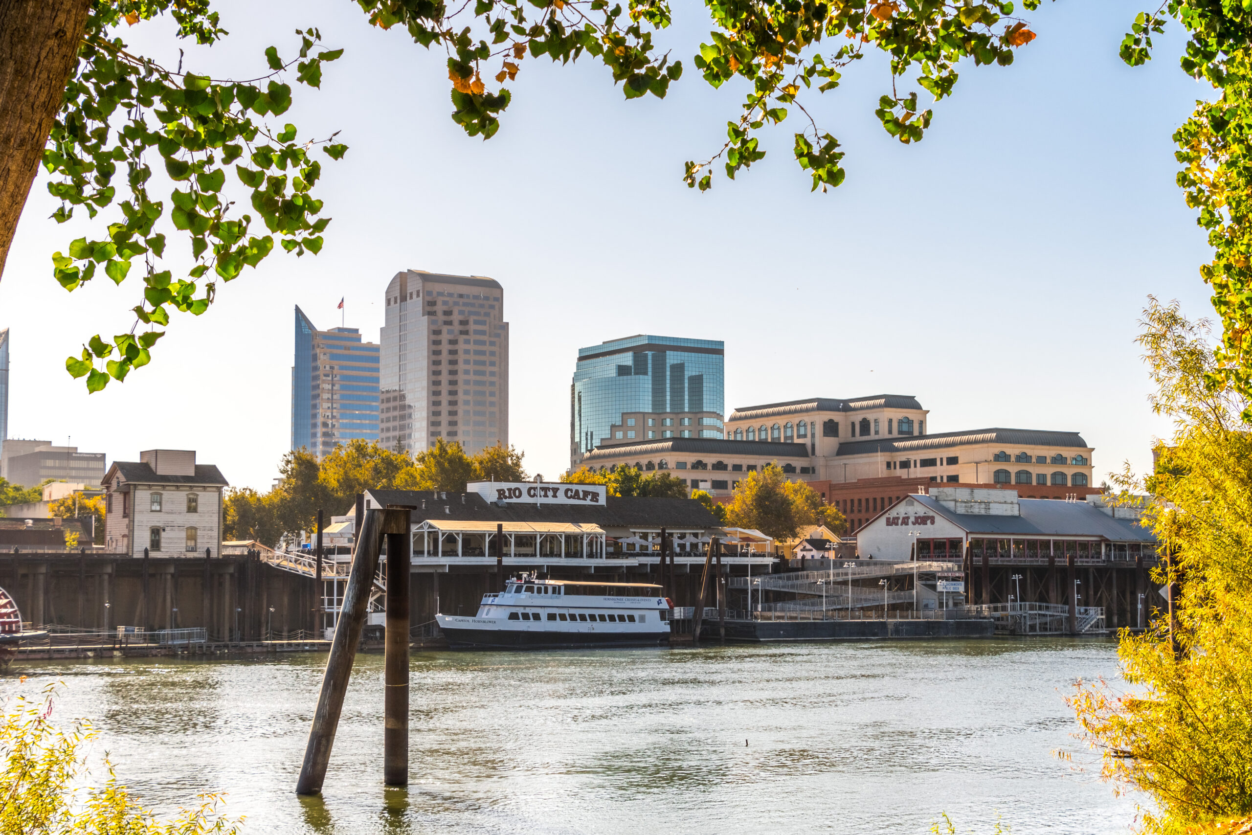 Sacramento's skyline and waterfront framed by tree branches, as