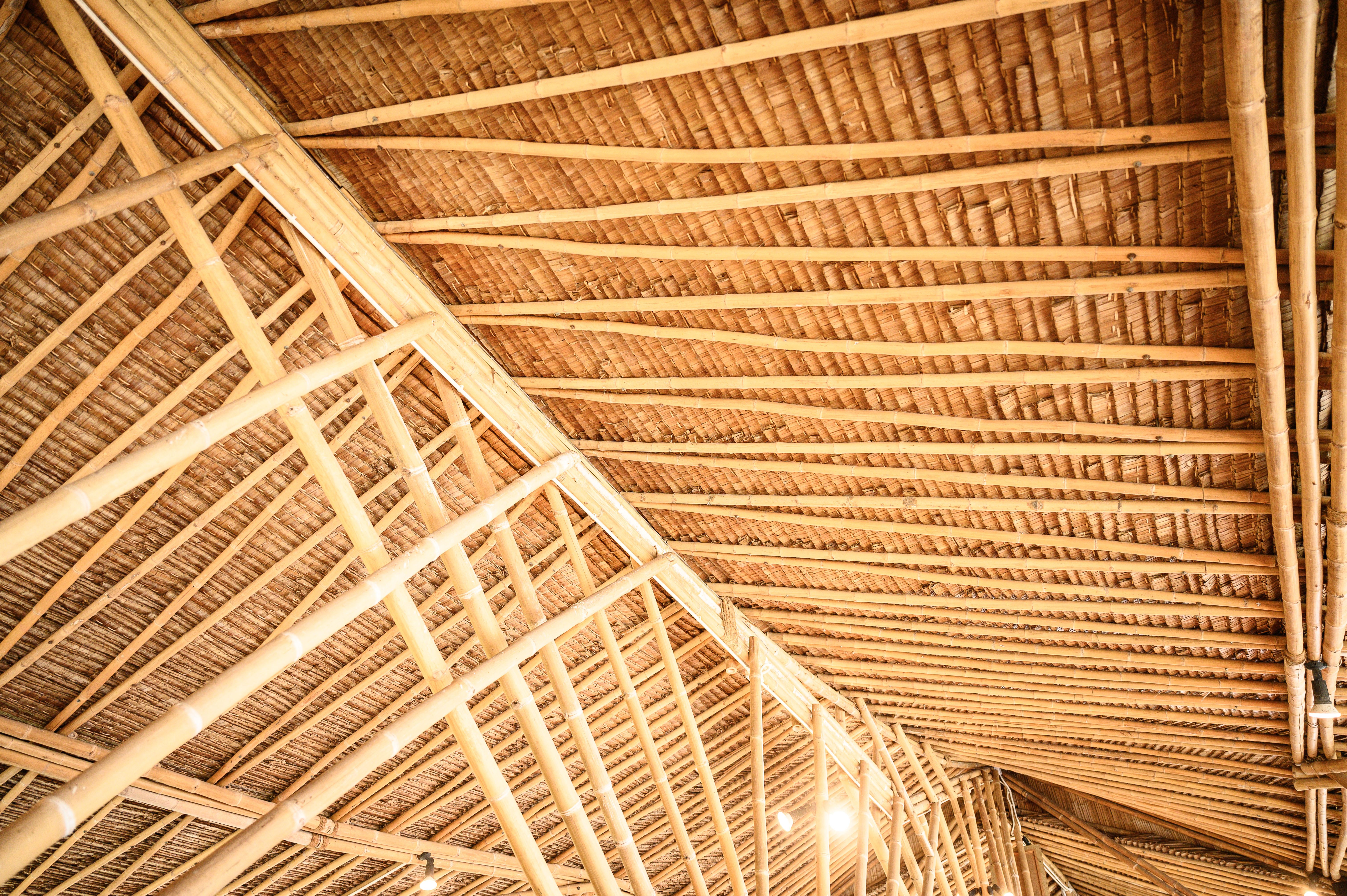 texture background of bamboo roof